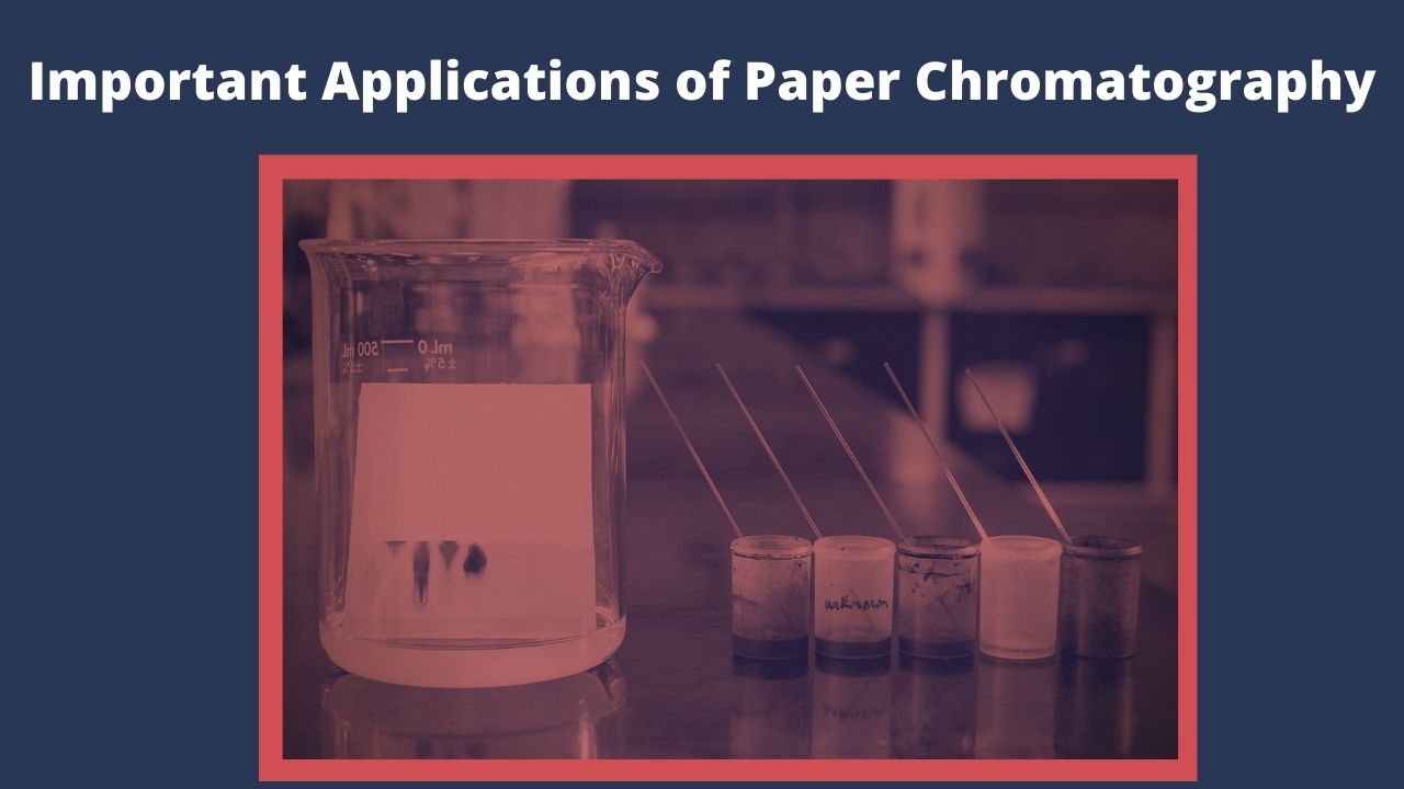Important Applications of Paper Chromatography