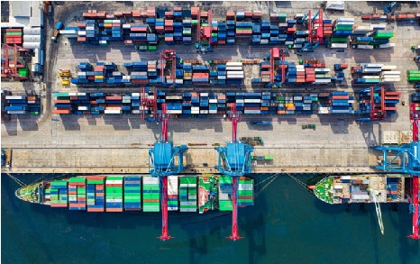 Optimize Your Supply Chain