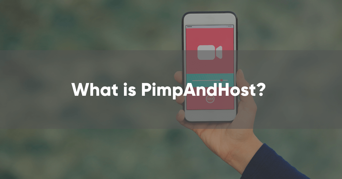 Pimp And Host
