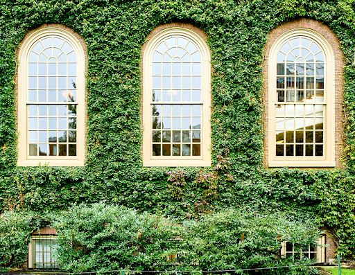 How to Benefit From the Ivy League (Without Going to an Ivy League School)