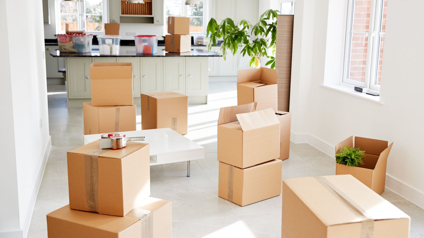 What to Look for When Choosing a Reputable Moving Company