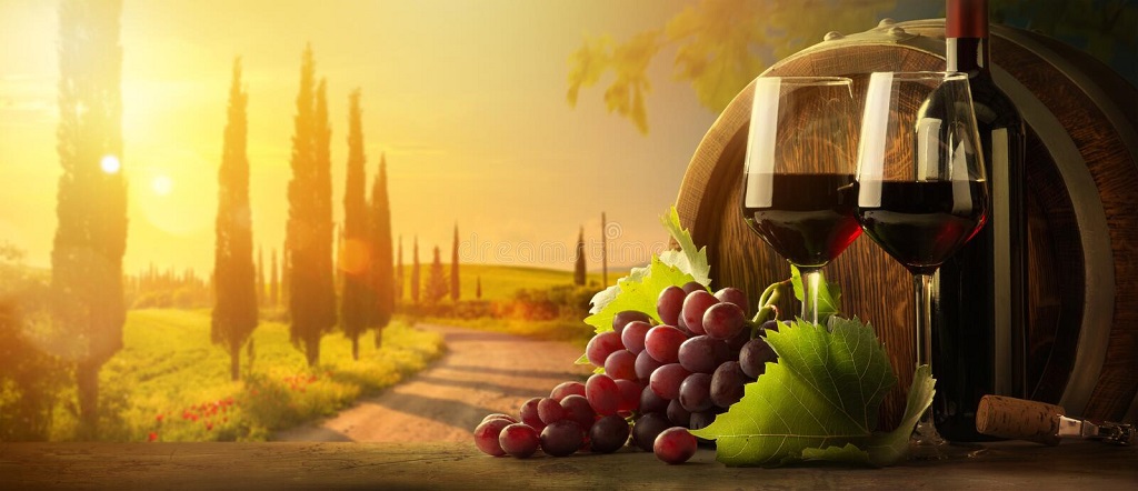 organic-wine