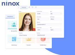 Ninox data entry