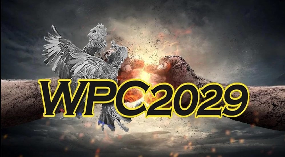 wpc2029 live login