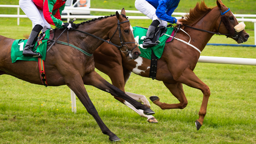 Understanding the Odds: An Expert’s Guide to Winning at Horse Races in India