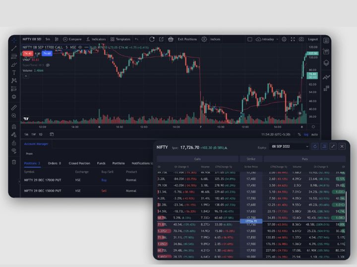 How Can You Use TradingView Charts for Free for Trading?