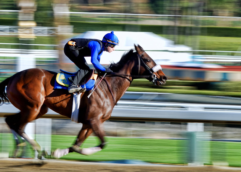 Best Californian Horse Racing Tracks