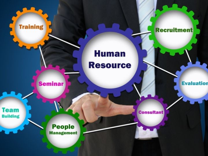 What are the top roles of human resource management?