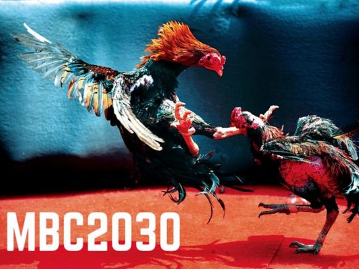 MBC2030