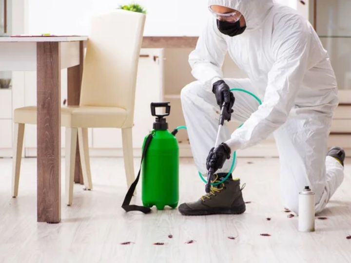 Securing Your Home: Unveiling the Importance of Effective Pest Control