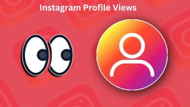 Instagram Profile Views