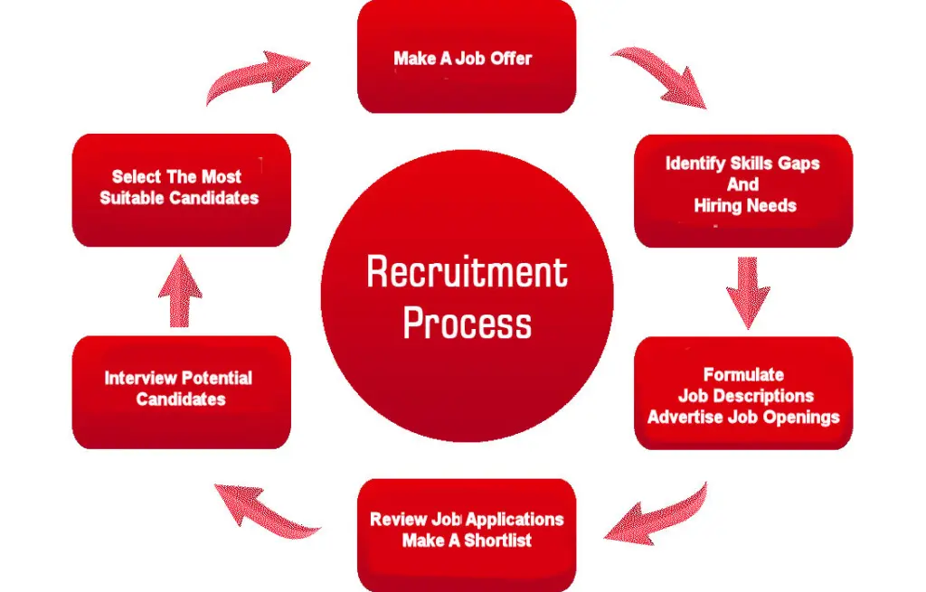 The Recruitment Process Explained A Step-by-Step Guide for Hiring Success