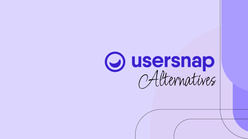 Choosing the Right Usersnap Alternative Based on Your Team’s Size and Workflow