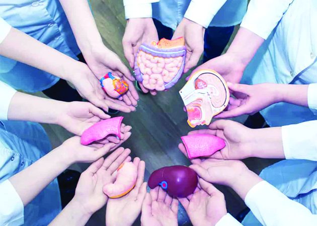 What to Know About Whole-Body Donation