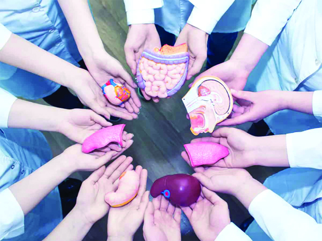 What to Know About Whole-Body Donation