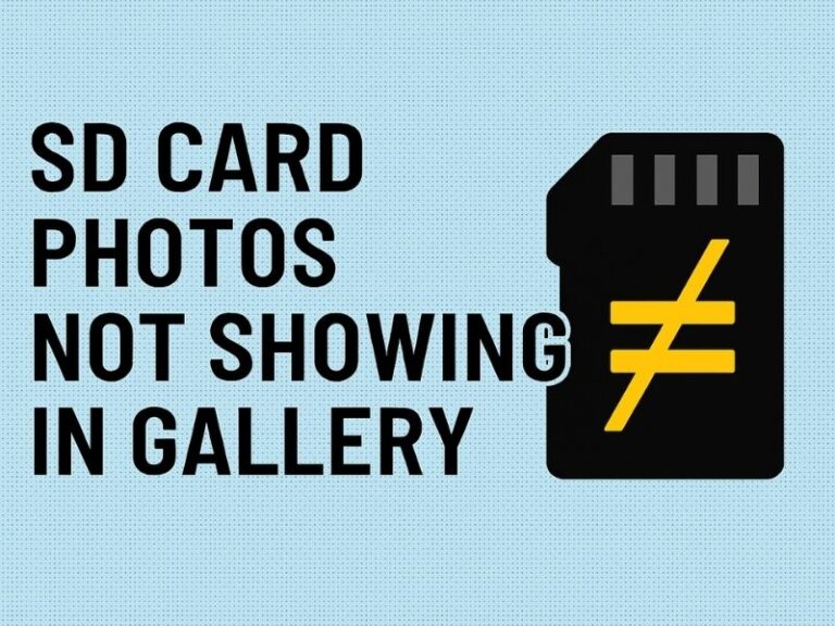 SD Card Photos Not Showing in Gallery